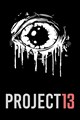 PROJECT 13