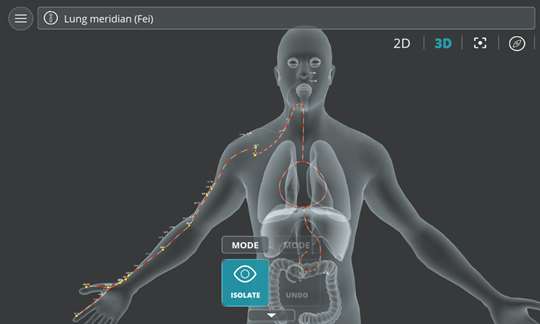 Visual Acupuncture 3D - Human screenshot 3