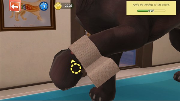 Animal Hospital — 2