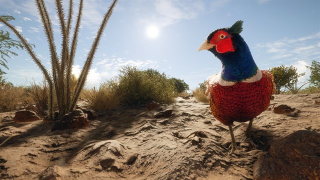 theHunter Call of the Wild - Rancho del Arroyo - Windows 10 screenshot 3