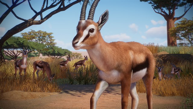 Planet Zoo: Preorder Bonus screenshot 1