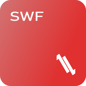 LL SWF Converter - SWF to MP4