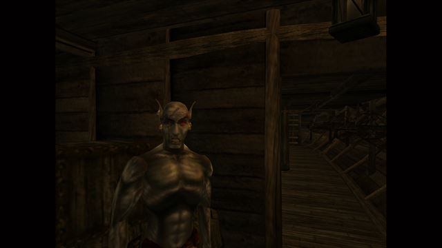 The Elder Scrolls III: Morrowind screenshot 16