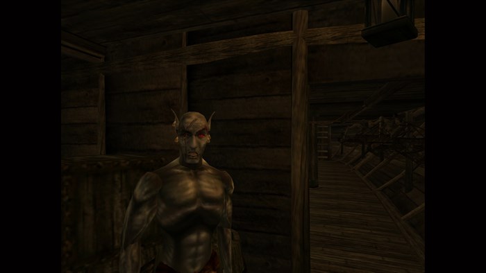 The Elder Scrolls III: Morrowind — скриншот 16