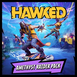 HAWKED - Amethyst Raider Pack