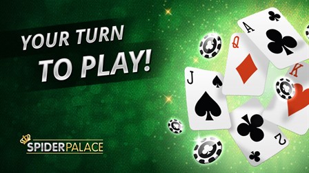 How to Play Spider Solitaire - Spider Palace