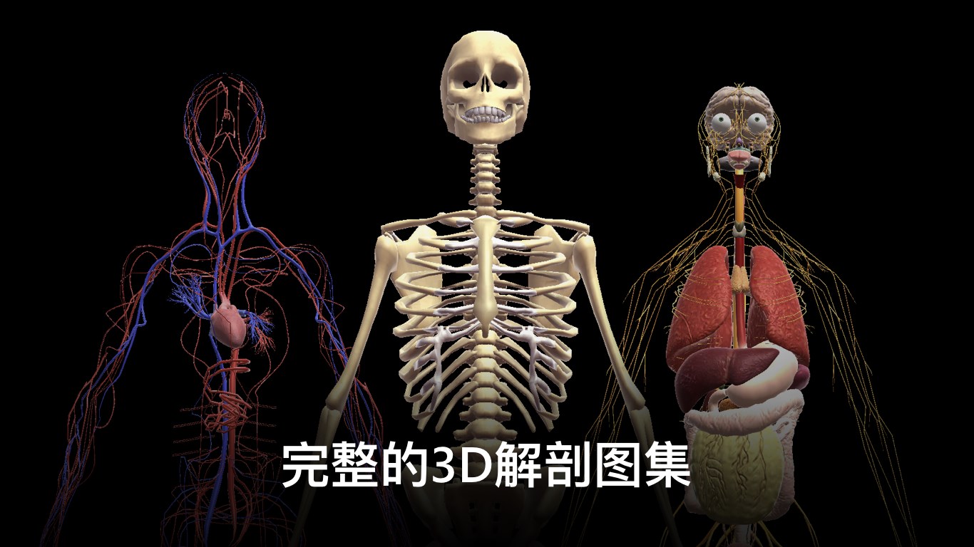 解剖3d -人体 - microsoft store 应用程序