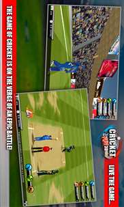 Cricket Play 3D screenshot 7