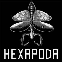 Aperçu Hexapoda