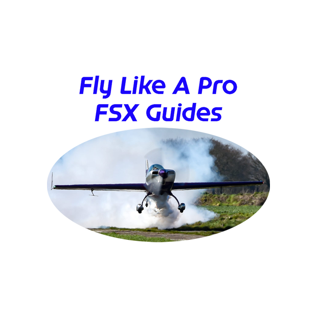 Buy Fly Like A Pro Microsoft Fsx Guides Microsoft Store