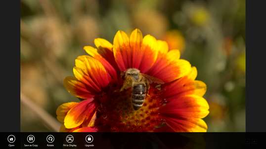 free raw image viewer windows 10