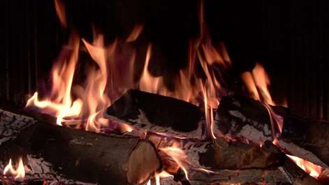 Fireplace of Love Screenshots 1