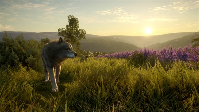 theHunter: Call of the Wild - Cuatro Colinas Game Reserve screenshot 3