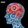 GreyCell PMP Tests