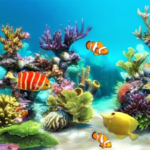 Aquarium Screensavers For Mac Os X