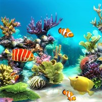 Buy Aquarium 4k Live Wallpaper Microsoft Store