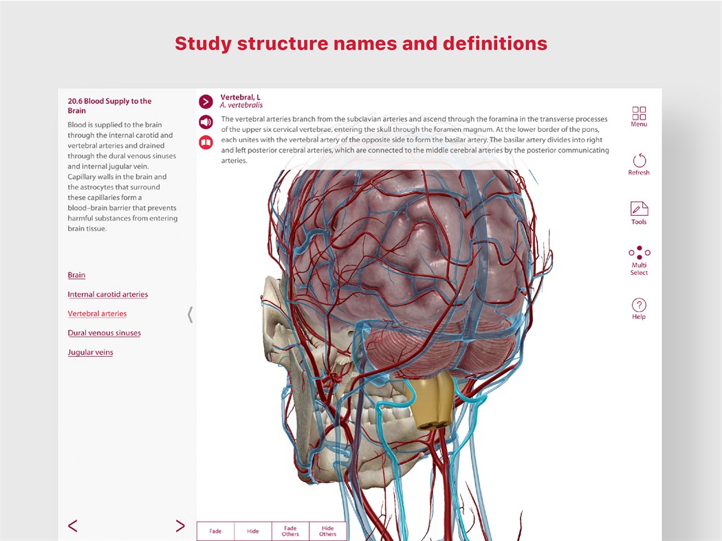 #4. Anatomy & Physiology: Intro of Human Body Systems (Windows) Podle: Visible Body