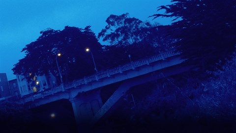 2064: Read Only Memories