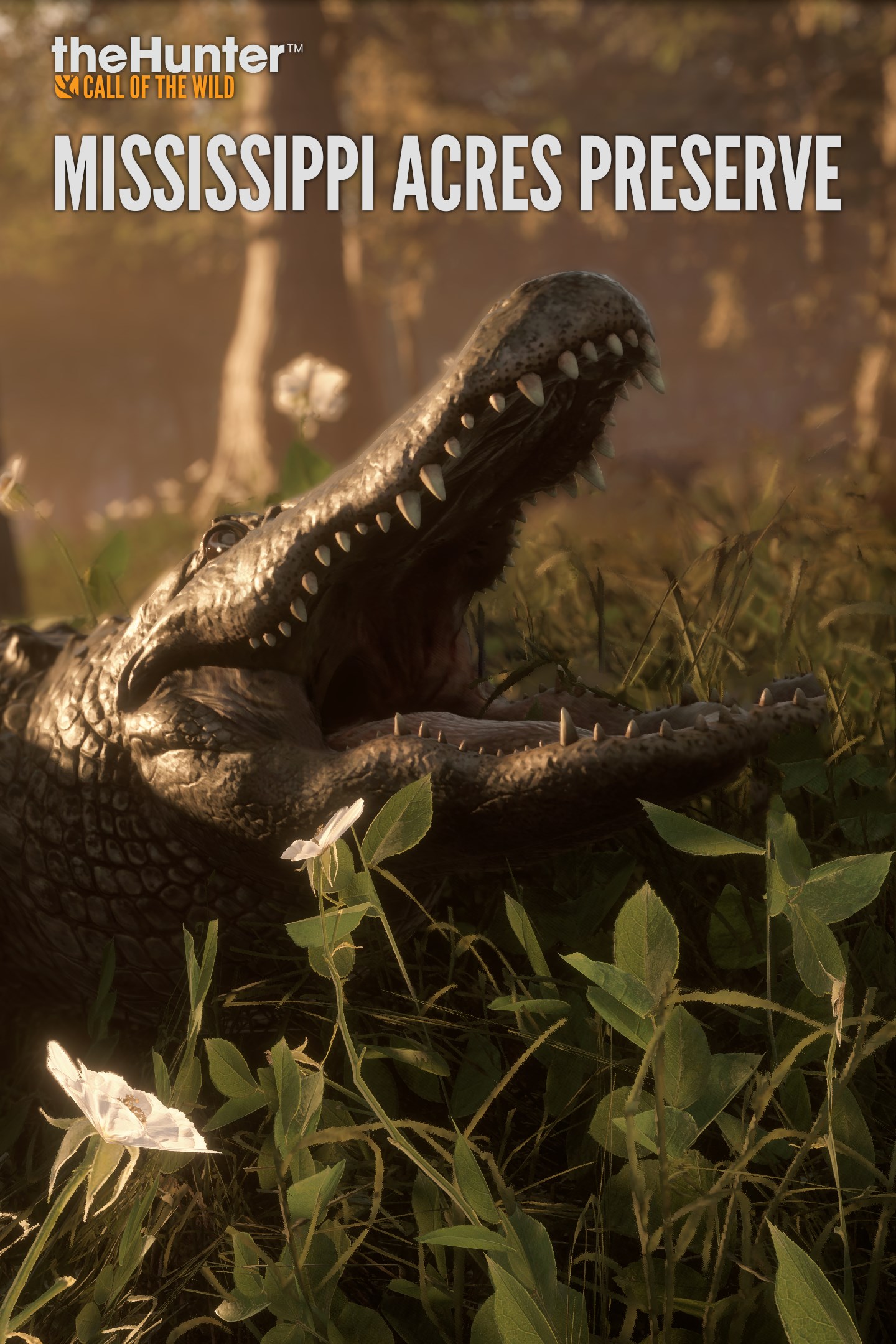 58af35dc-44a0-b070-f881-5fd2fbcd75b6