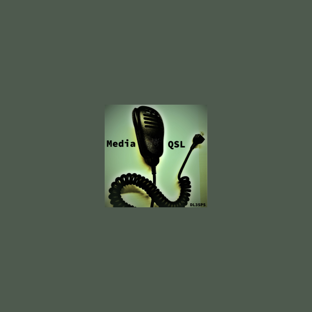 MediaQSL