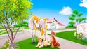 Animal Hospital