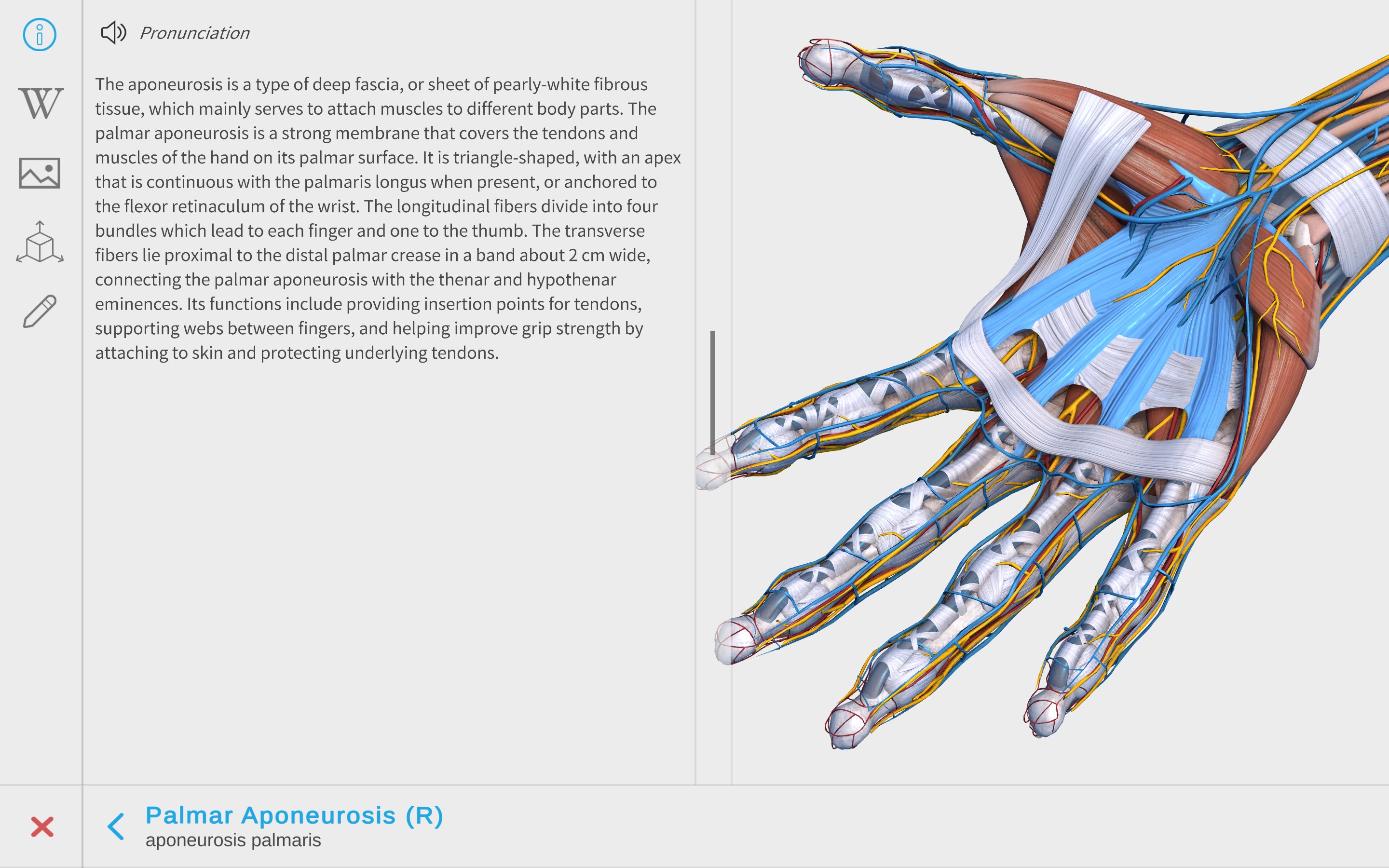 Visual Anatomy 3D - Human screenshot