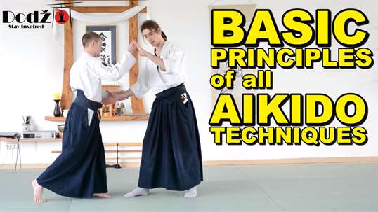 Aikido Techniques Training screenshot 4