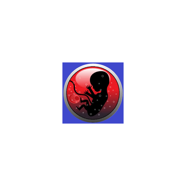 Pregnancy Due Date Calculator