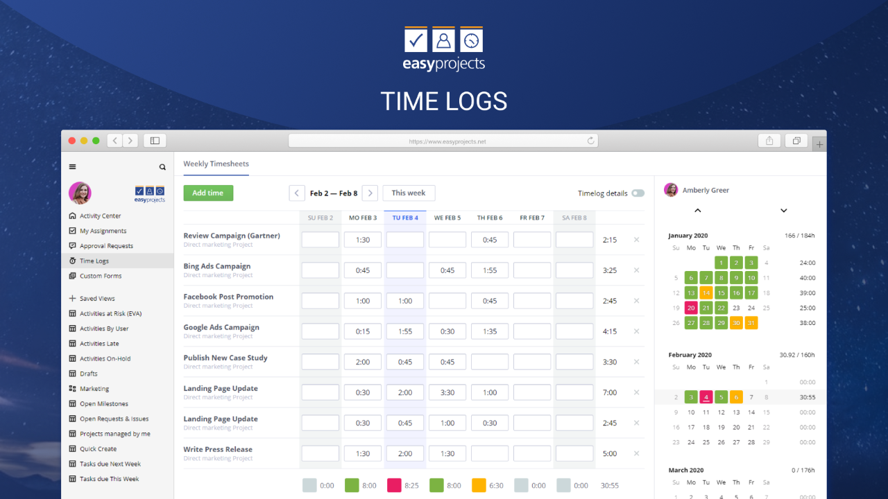 Snapshot 5 of Easy Projects