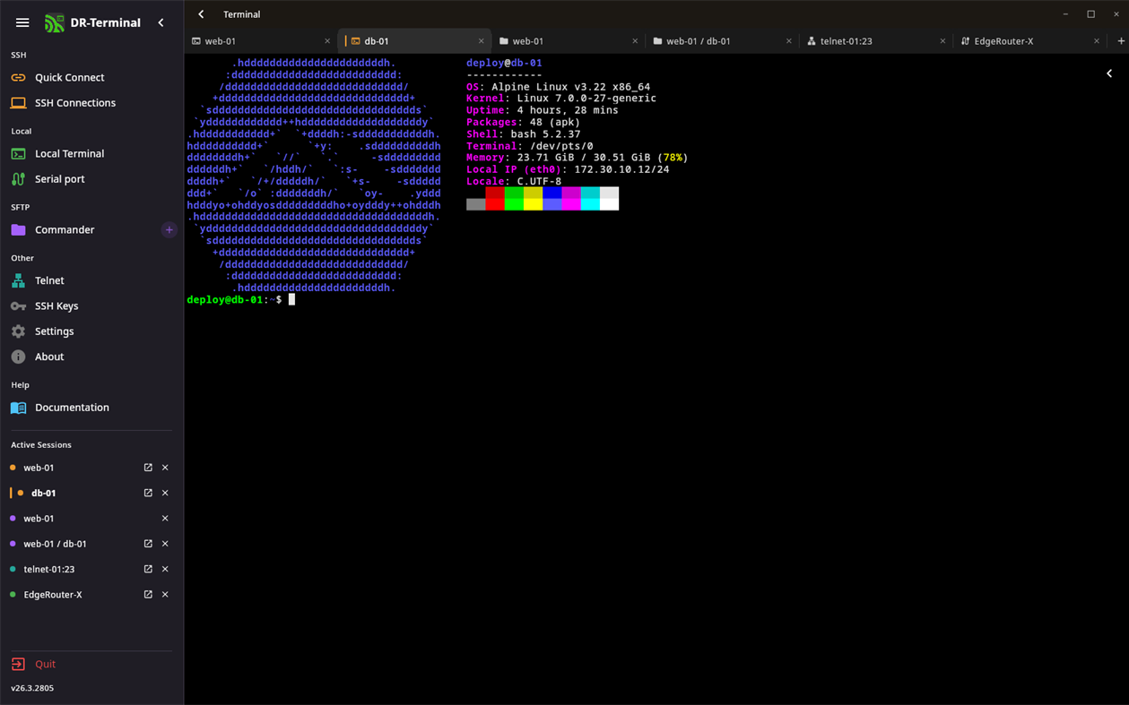 #4. DR-Terminal (Windows) di: DR-Online
