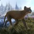 theHunter™: Call of the Wild - Reserve Bundle