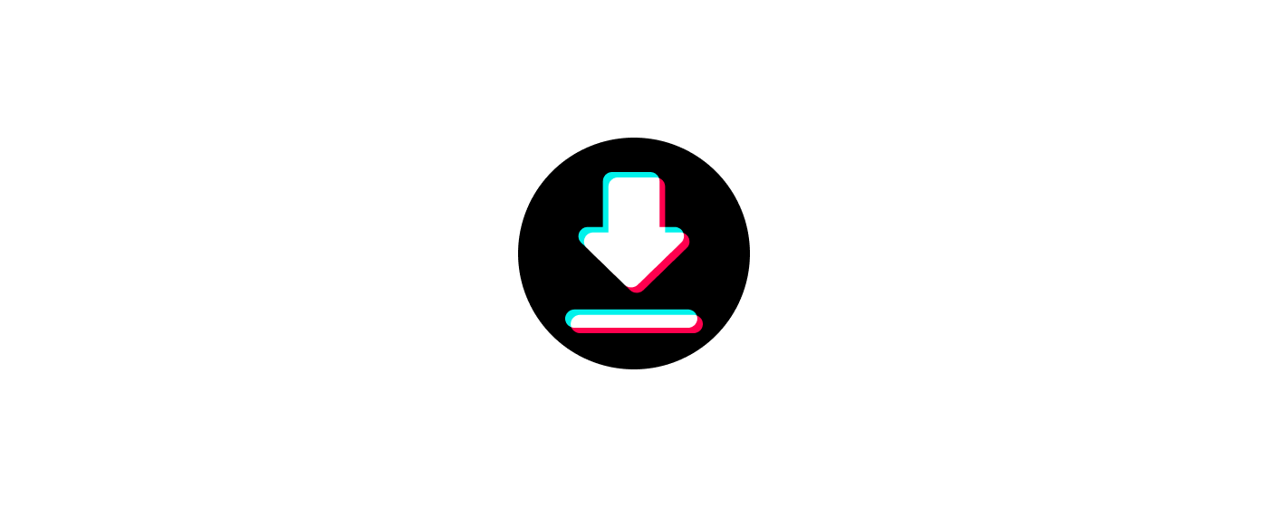 TikTok Video Downloader