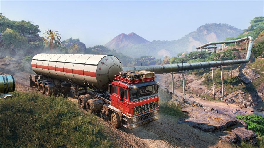 Full Size Image