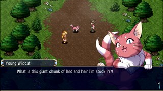 Asdivine Hearts I & II screenshot 1