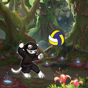 forestvolleyball