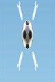 Trajectile Soccer