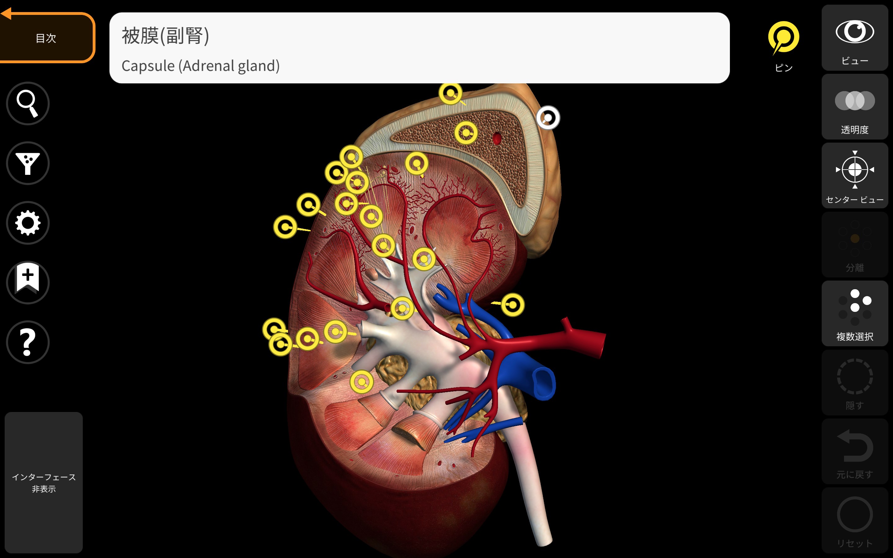 解剖学 - 3Dアトラス - Anatomy 3D Atlas - Windows に無料でダウンロードしてインストールする | Microsoft  Store