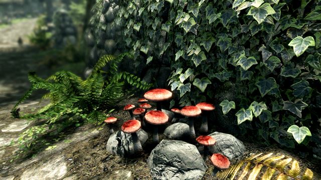 The Elder Scrolls V: Skyrim Special Edition (PC) screenshot 10