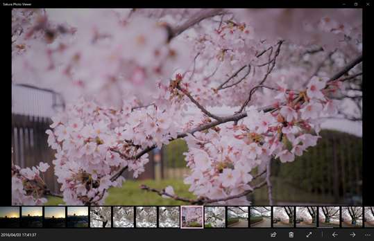 Sakura Photo Viewer screenshot 1