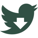 Twitter Video Downloader icon