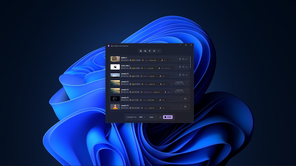 Video Converter - Any Video Converter_3