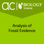 AC Biology: Analysis of Fossil Evidence