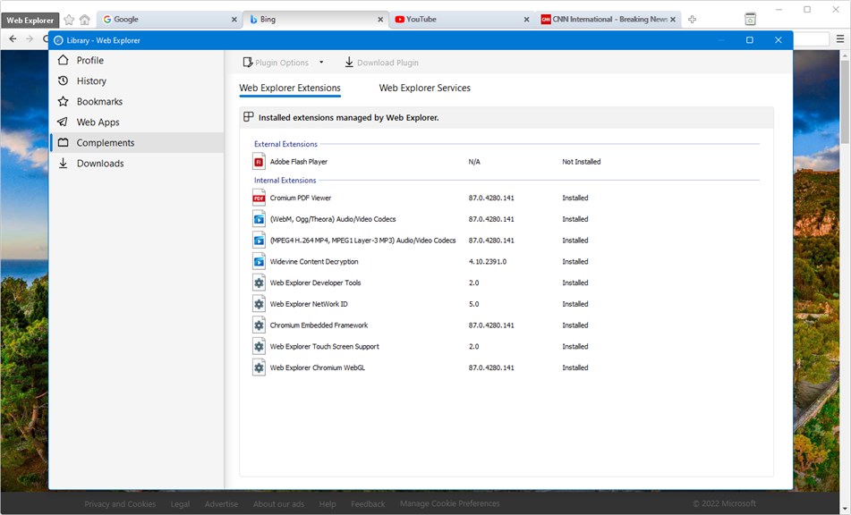 Web Explorer_4