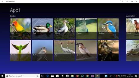 Birds & Animals Screenshots 1