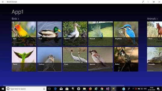 Birds & Animals screenshot 1