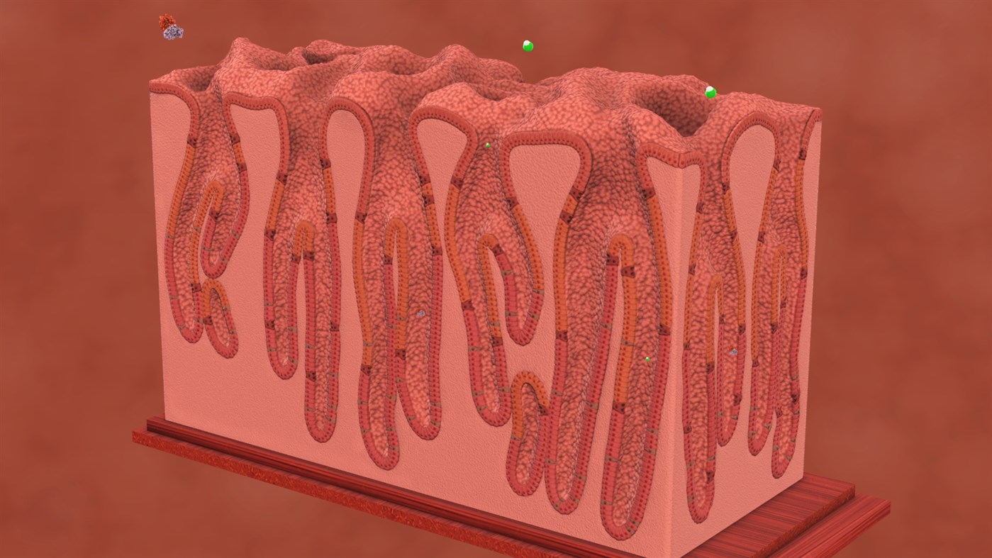 #9. Sensavis Visual Learning Tool (Windows) 由: Sensavis AB