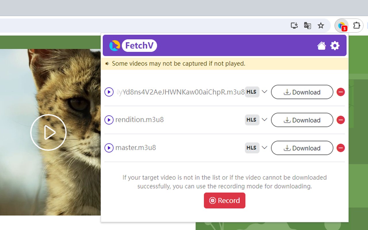 FetchV - Video Downloader for m3u8 & hls