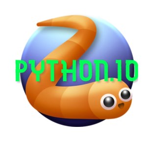 Python Io