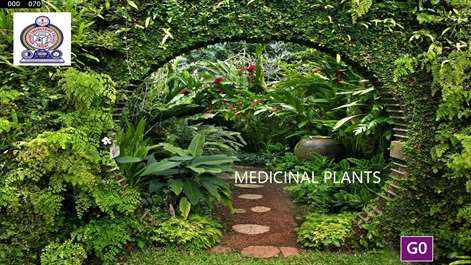 OEC_medicinal plants Screenshots 2