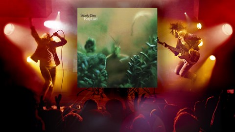 "Black Friday" - Steely Dan